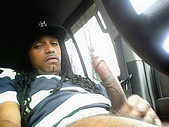 Car Nutt