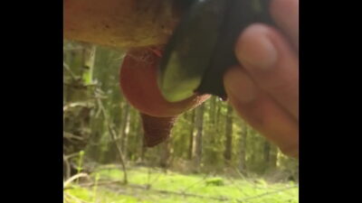 Playing with my new toy in a public forest