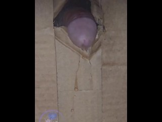 This Glory Straight Edge Hole Point Of Cock Box Dangling Close Up Cock Twink Shorties