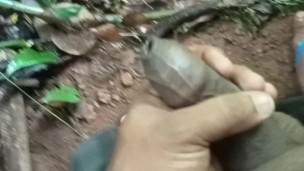 A quick discharge of cum in the jungle