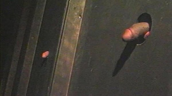 Pacific Sun – Nubian Hores 1 2 – scene 1