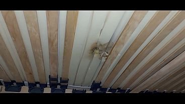 Fut gaura din saltea si ejaculez sperma sub pat