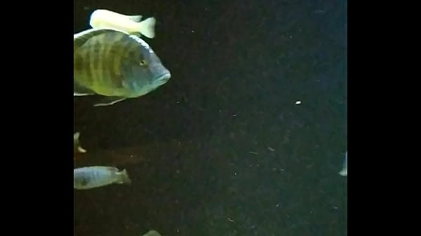 Banheiro restaurante